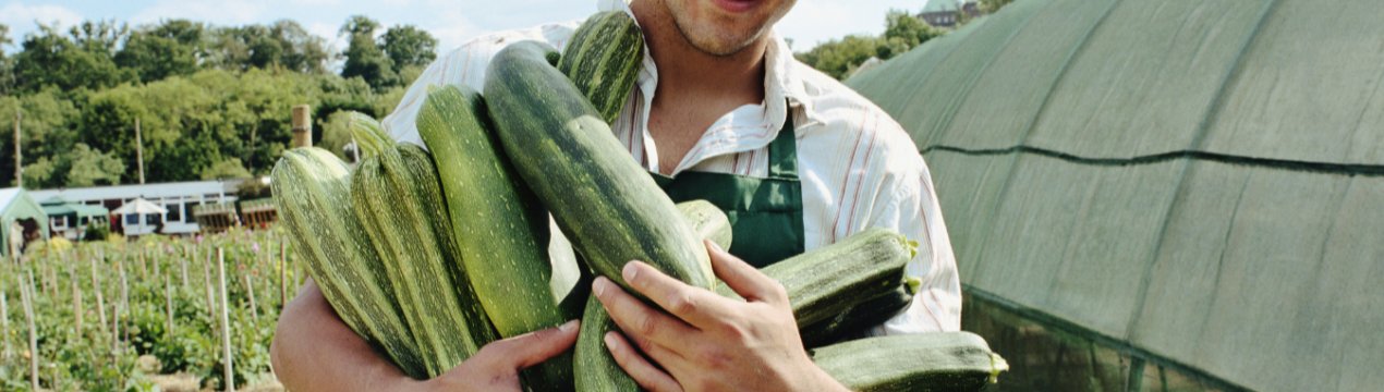 За 7 років кількість фермерів в Україні скоротилося на 10 тисяч