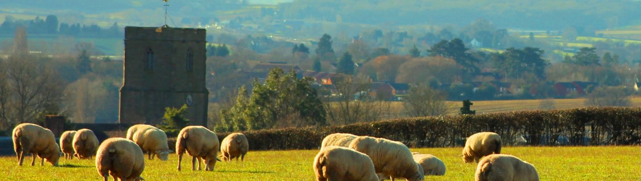 Великобританія може стати «світовим лідером в області екологічно чистого сільського господарства