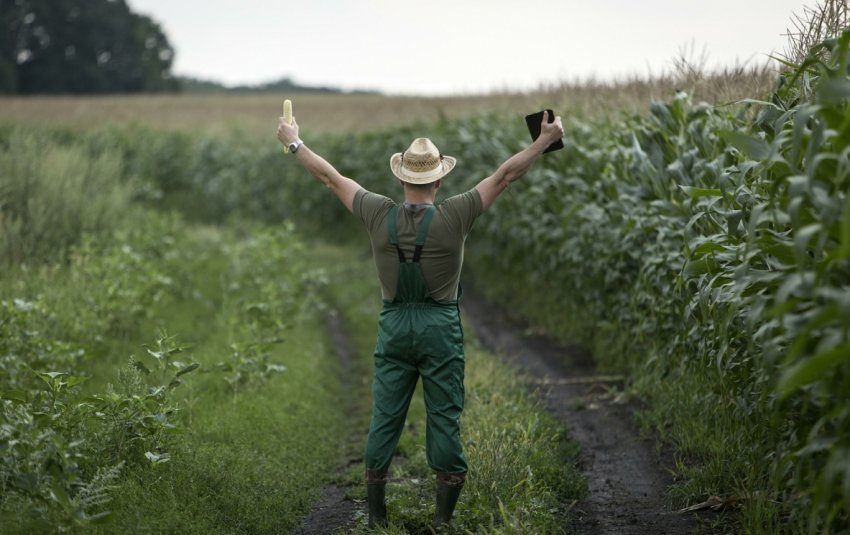 Оренбурзькі фермери стануть багатшими на три мільярди рублів Оренбурзькі фермери стануть багатшими на три мільярди рублів