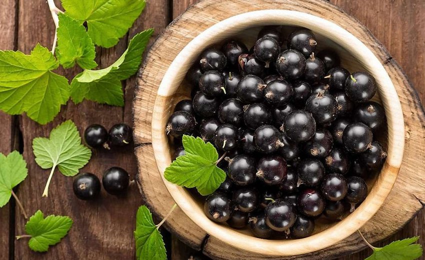 Чорна смородина