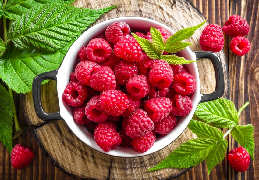 У Великобританії раніше звичайного розпочався сезон малини У Великобританії раніше звичайного розпочався сезон малини