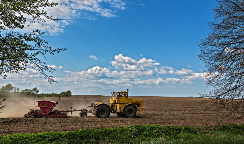 Засів території пасовища Засів території пасовища