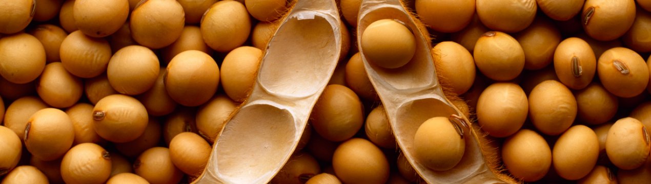 В Бразилії за дефолтів фермерів трейдери можуть скоротити фермерське кредитування