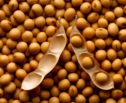 В Бразилії за дефолтів фермерів трейдери можуть скоротити фермерське кредитування 