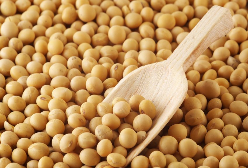 В Бразилії за дефолтів фермерів трейдери можуть скоротити фермерське кредитування