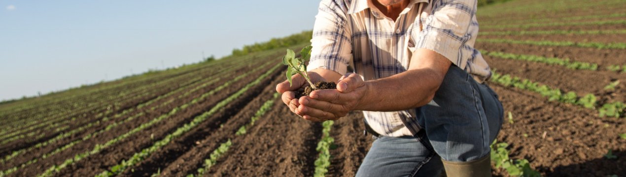 Оренбурзькі аграрії «розправилися» з яровим сівбою