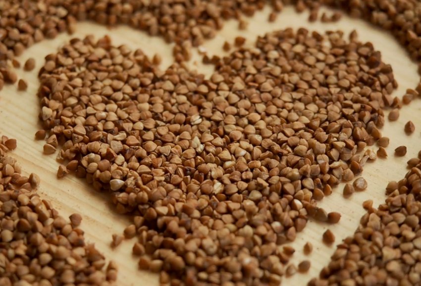 Аграрії Сумської області відмовляються від вирощування гречки Аграрії Сумської області відмовляються від вирощування гречки