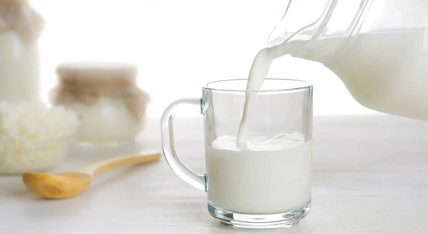 Овечье молоко - основные характеристики