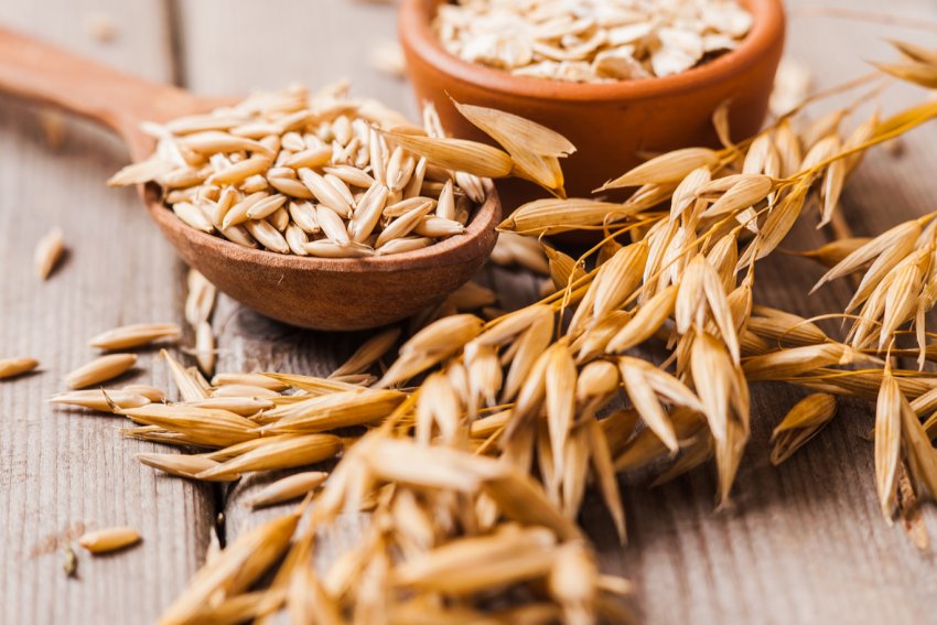 Оренбурзькі аграрії «розправилися» з яровим сівбою