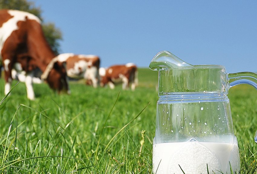 У Великобританії занедбана екологічна ініціатива для фермерів