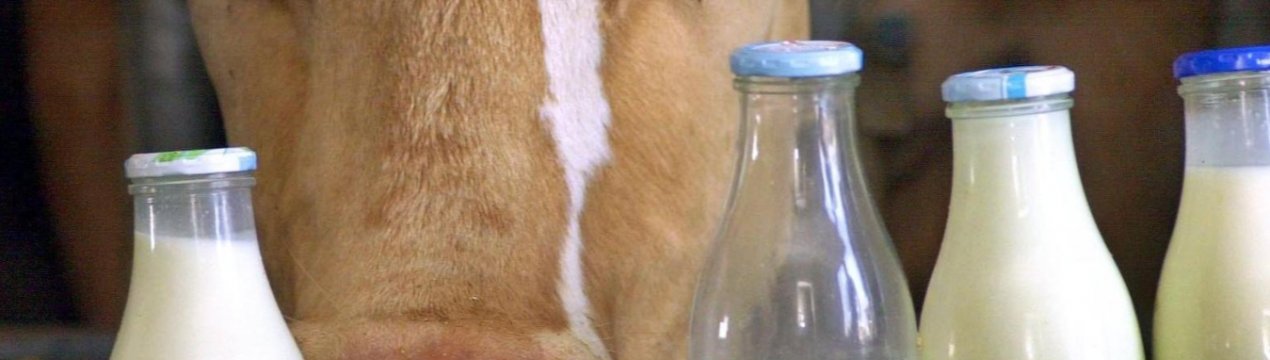 У Великобританії занедбана екологічна ініціатива для фермерів