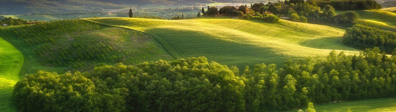 У ПАР президентська комісія представила доповідь про земельну реформу