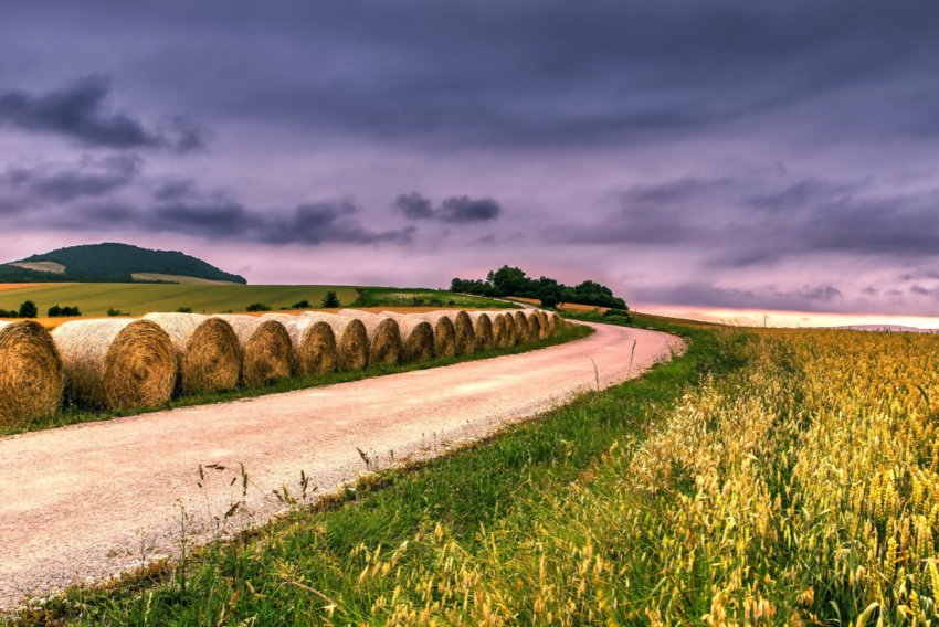 В ПАР президентська комісія представила доповідь про земельну реформу