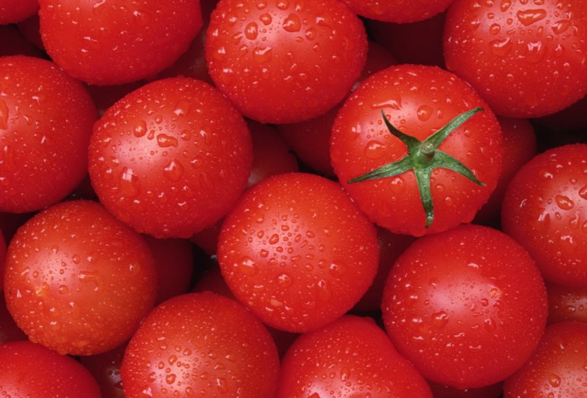 Agrofusion почала збір урожаю озимих зернових