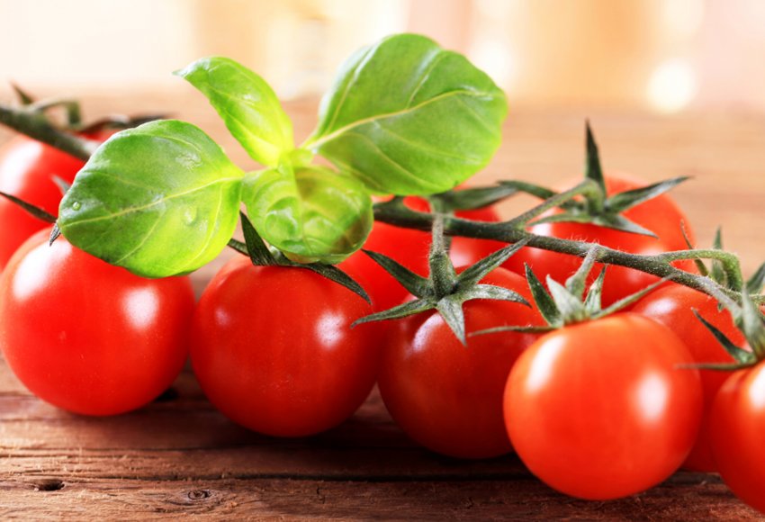 Agrofusion почала збір урожаю озимих зернових