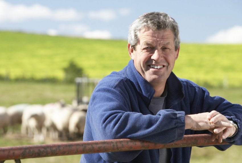 Мітингувальники фермери з Миколаївського району перекриють трасу М-14