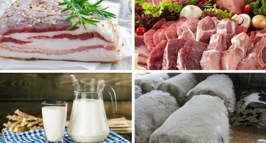 М`ясо, сало, молоко та вовна овець М`ясо, сало, молоко та вовна овець