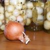 Как сушить лук после уборки на зиму правильно