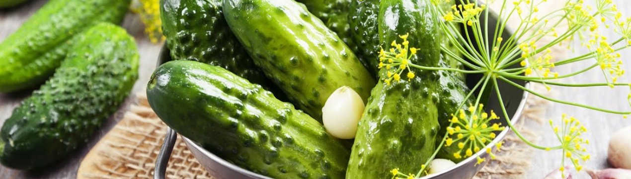 Огірки знову дорожчають на ринках України