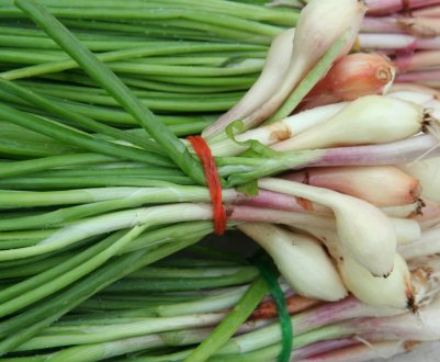 В Україні дорожчає цибуля