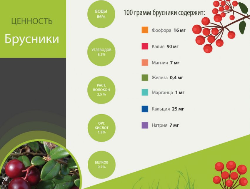 Ценность брусники