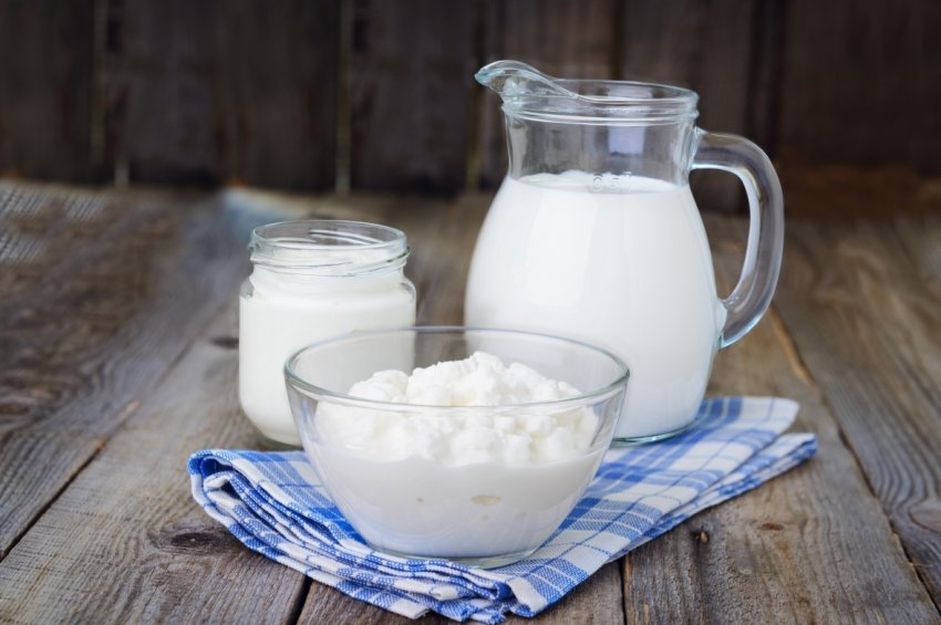 Гості ульяновського свята проковтнули 500 літрів молока, 50 літрів йогурту і 25 кілограмів сметани