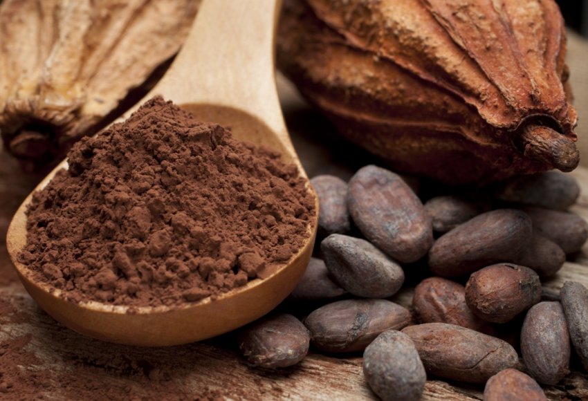 В Гані погана погода і хвороби «б'ють» по какао