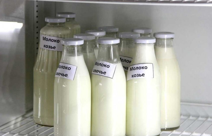 Овече молоко