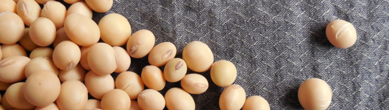 Китай просить продавців з США відкласти відправку сої