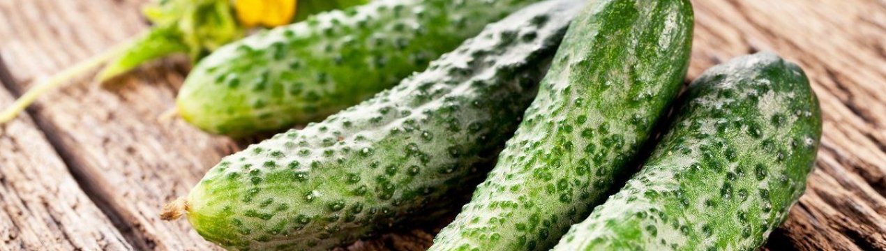 Огірки: користь і шкода