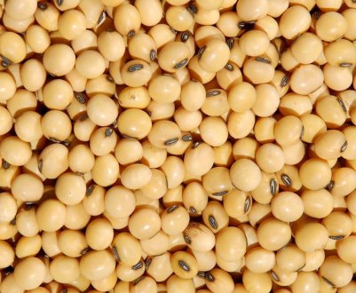 Аргентинська Bioceres очікує схвалення США і Китаєм її стресостійкість насіння сої 