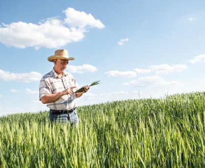 Російських селян навчать правильно виходити на зовнішній ринок