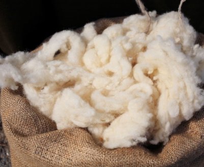 Чим і як випрати овечу вовну (руно) вдома
