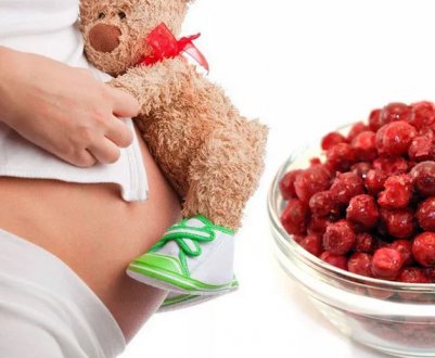 Лікування набряків у вагітних брусницею: особливості