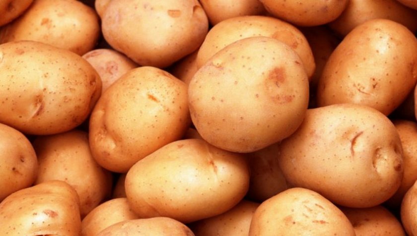 Лучшие сорта картофеля раннего: посадка и уход