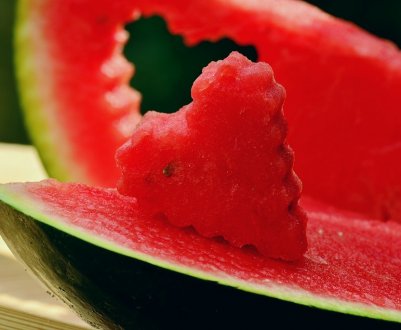 Херсонські кавуни благополучно пережили негоду