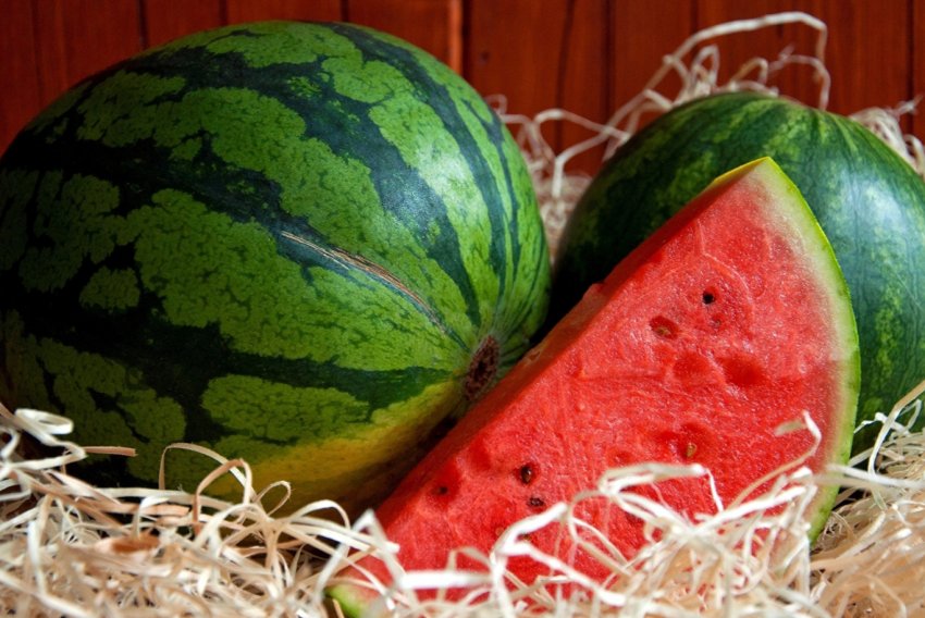 Херсонські кавуни благополучно пережили негоду