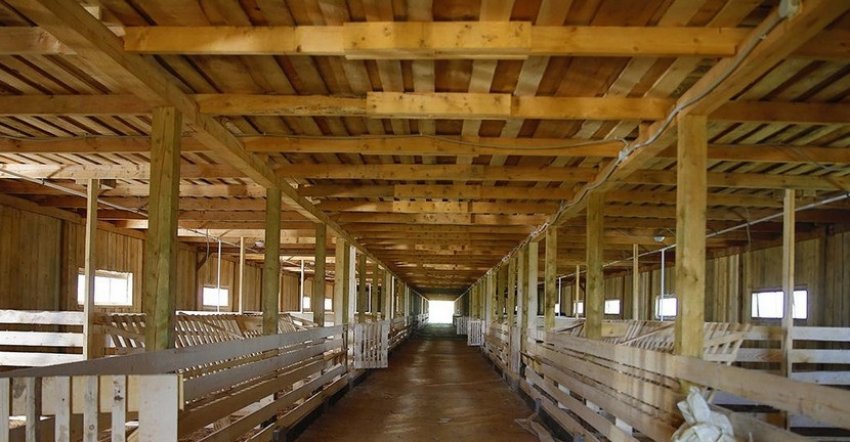 Приміщення для овець Приміщення для овець