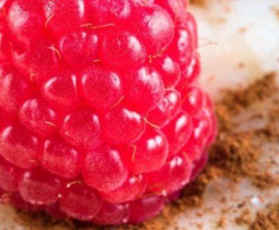 Який сорт малини вибрати для прохолодних регіонів