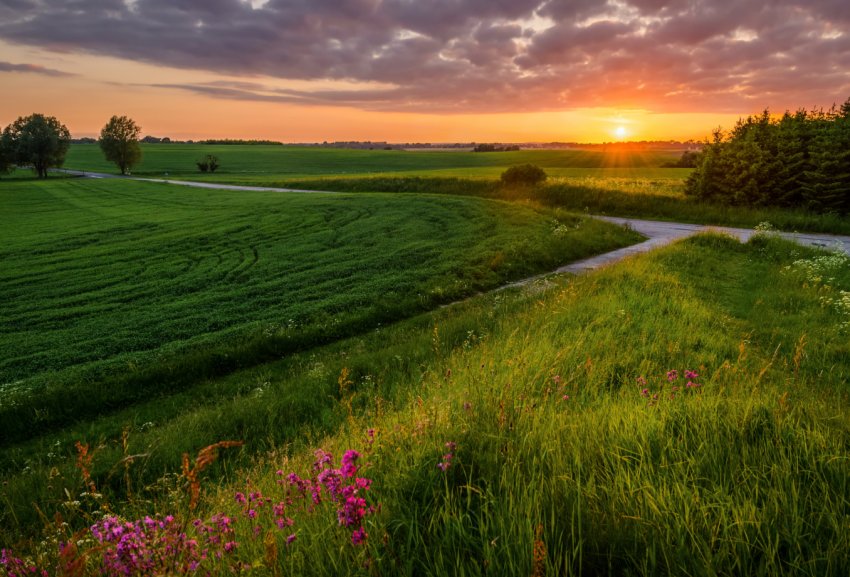 Іранці будуть створювати сільгосппідприємства в Одеській області Іранці будуть створювати сільгосппідприємства в Одеській області