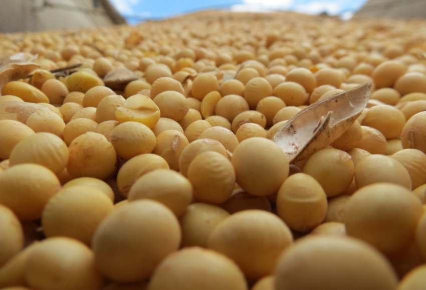 В Індії через відсутність мусонних дощів затрималася посівна В Індії через відсутність мусонних дощів затрималася посівна