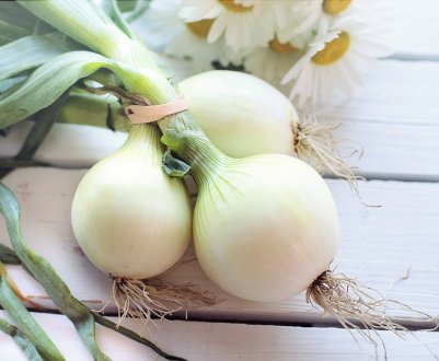 Ціни на цибулю в Україні знову впали