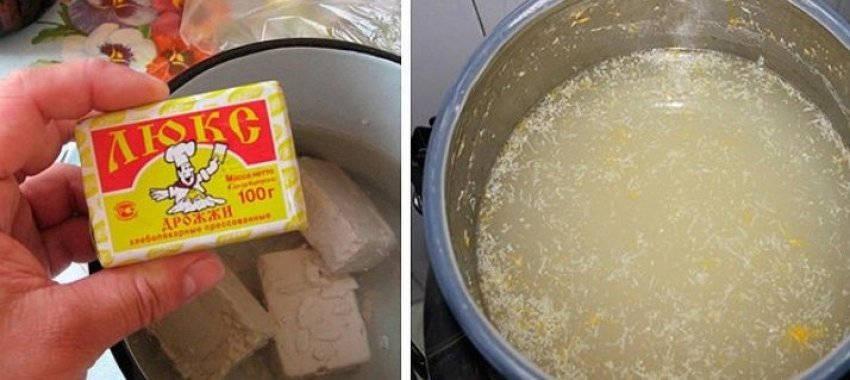 Добриво дріжджами Добриво дріжджами