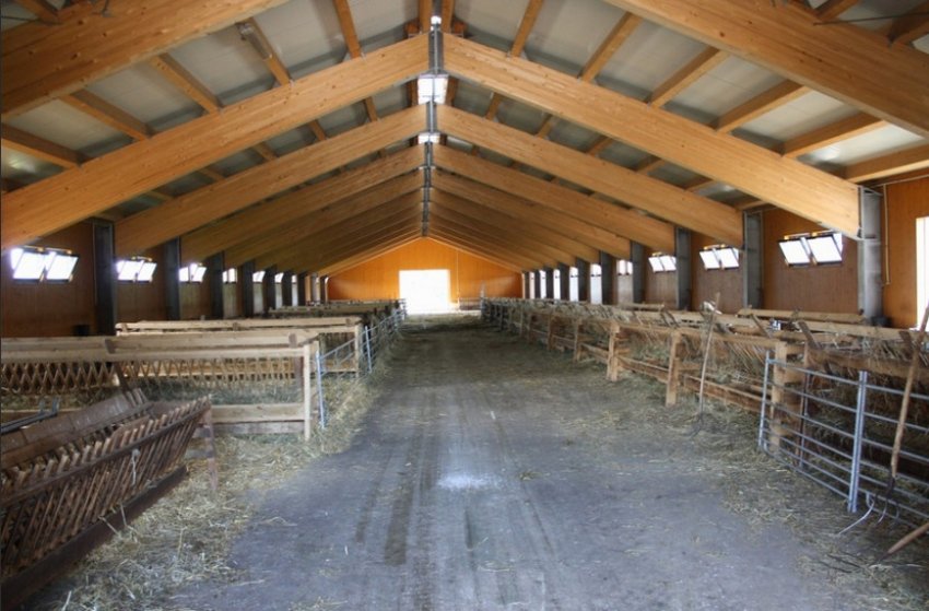 Овчарня для овець