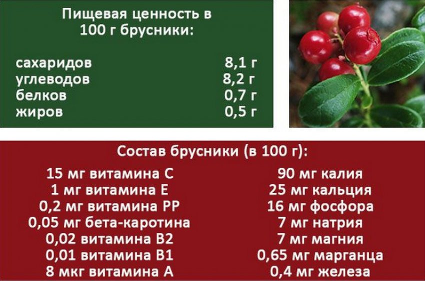 Склад і харчова цінність брусниці Склад і харчова цінність брусниці