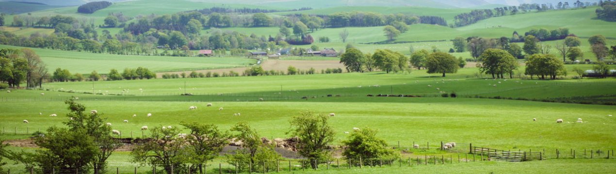 Більшість шотландців вважає, що сільське господарство є життєво важливо
