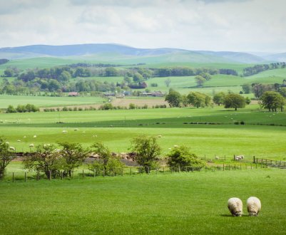 Більшість шотландців вважає, що сільське господарство є життєво важливо 
