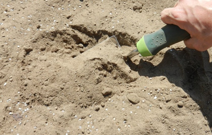 песок для улучшения почвы