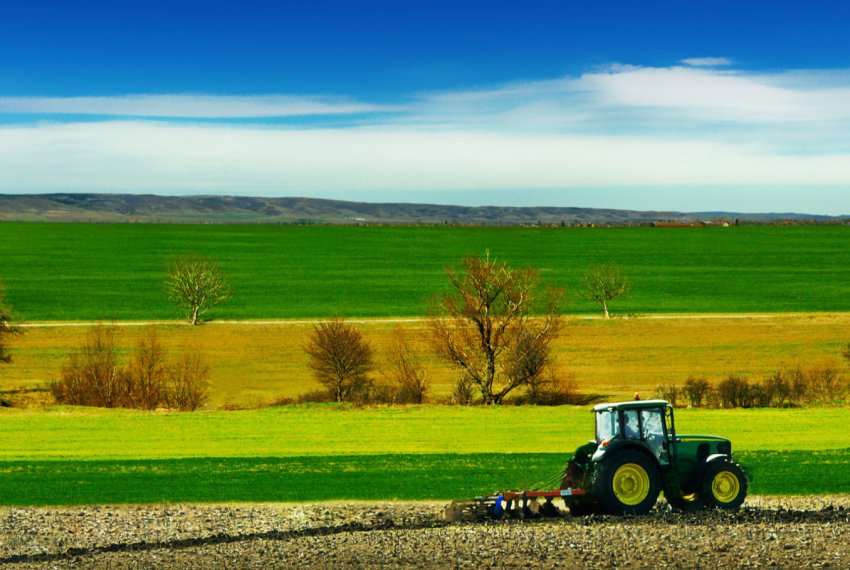 Більшість шотландців вважає, що сільське господарство є життєво важливим Більшість шотландців вважає, що сільське господарство є життєво важливим