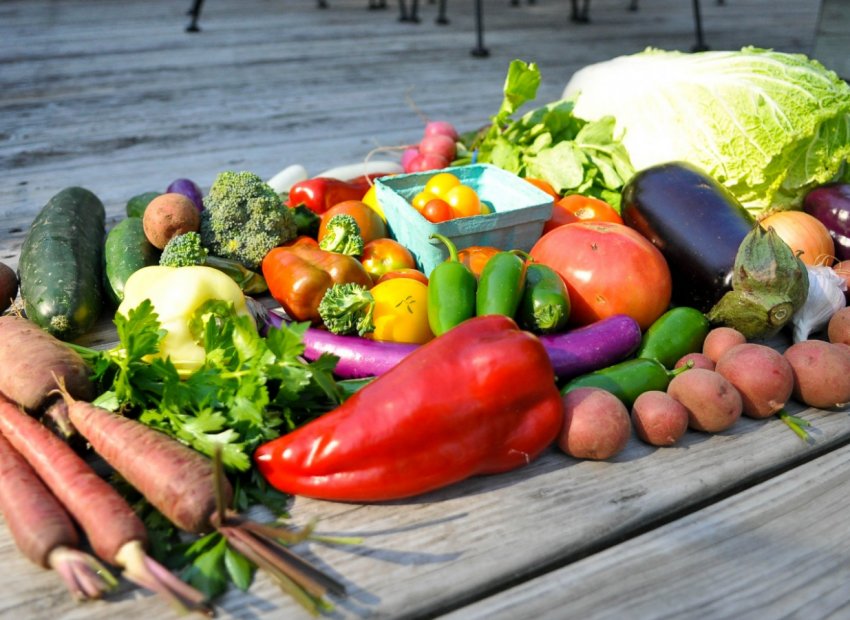 Буковинська органіка підкорює ринок Європи Буковинська органіка підкорює ринок Європи